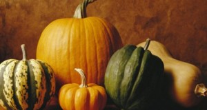 Cultivo Calabazas en Macetas