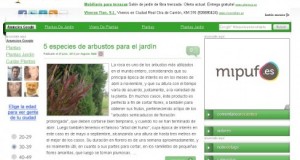 Recomendación: Cuida tu jardín