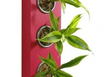 Flowerbox