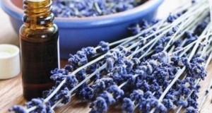 Aromatiza tus Ambientes!