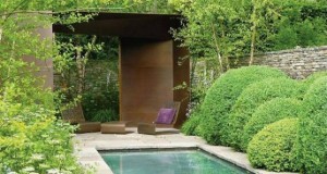 ¿Tienes Piscina? Vegetación de hoja perenne