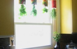 Jardín colgante en tu cocina