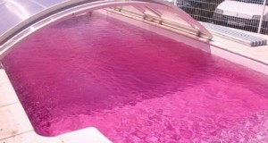 ¿Tienes piscina? Coloréala