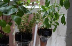 Jardinería. Recicla tus Botellas