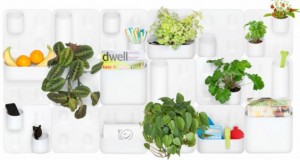 ¿Te gustan las plantas? Urbio