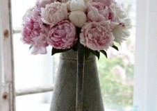 Decora con Regaderas