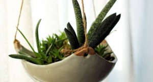 Decorar con maceteros colgantes