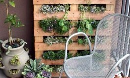 Pared vegetal hecho con palet