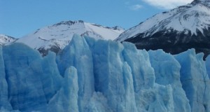 Se lograron resucitar plantas de más de cuatro siglos