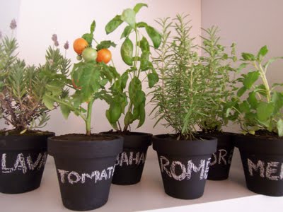 macetas-plantas.jpg macetas plantas