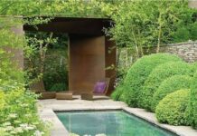 ¿Tienes Piscina? Vegetación de hoja perenne