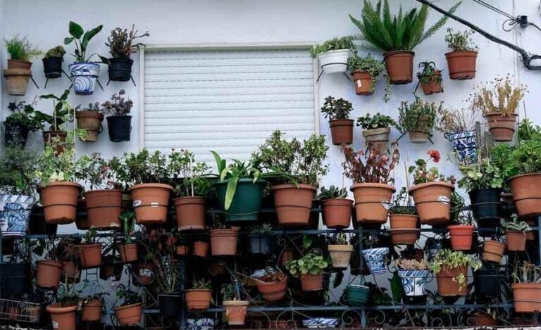 Cómo asegurar el riego en nuestra ausencia