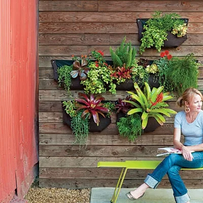 jardin.jpg jardin