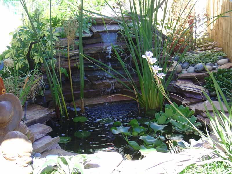 fuente jardin
