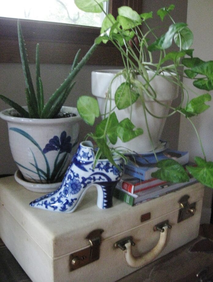 maletas y macetas con plantas