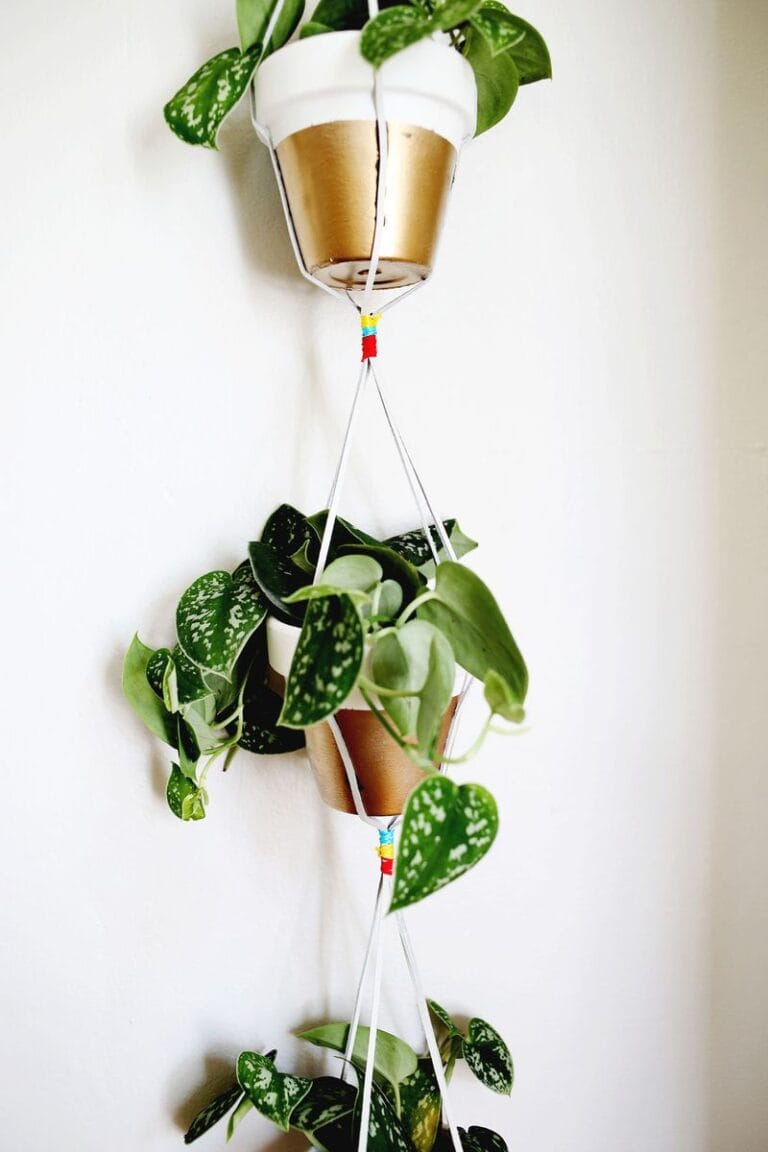 Revistas de jardinería: las más destacadas del mundo Revistas de jardinería: las más destacadas del mundo