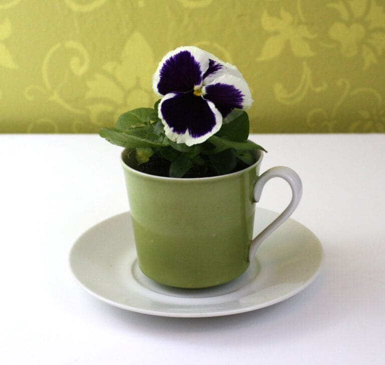 Decora con tazas y flores Decora con tazas y flores