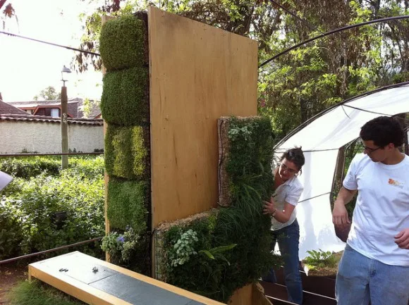 Beneficios del jardín vertical 1 Beneficios del jardín vertical