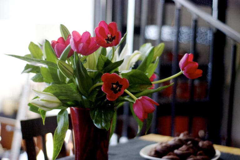 Cómo aromatizar tus rincones con preciosas flores