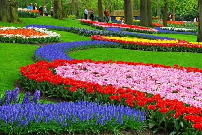 decorar con tulipanes
