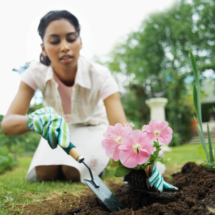 consejos para plantar