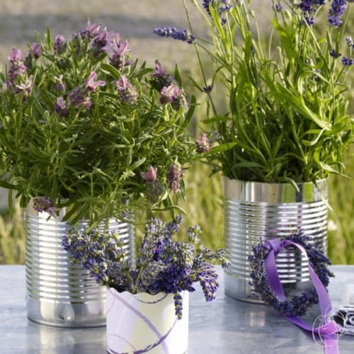 decorar con lavanda
