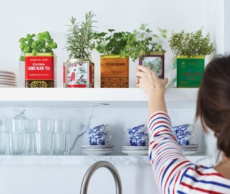 Ideas para decorar con plantas aromáticas 2 decorar con plantas aromaticas