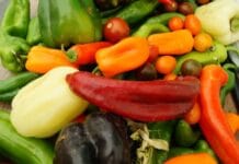 Almacenamiento de hortalizas Almacenamiento de hortalizas