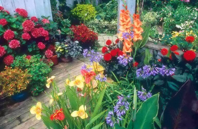 Decorar con plantas con flores: consejos y trucos