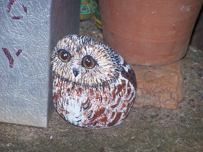 Piedras pintadas para el jardín