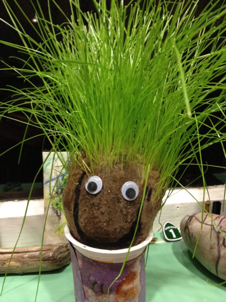 ¿Cómo hacer un señor de cabeza de césped en estas navidades? ¿Cómo hacer un señor de cabeza de césped en estas navidades?