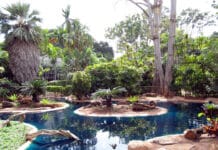 Preciosos estanques para jardín ¡Saca provecho a tus espacios! estanques para jardin