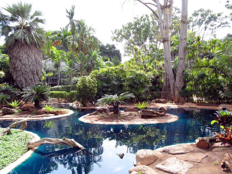 Preciosos estanques para jardín ¡Saca provecho a tus espacios! Preciosos estanques para jardín ¡Saca provecho a tus espacios!