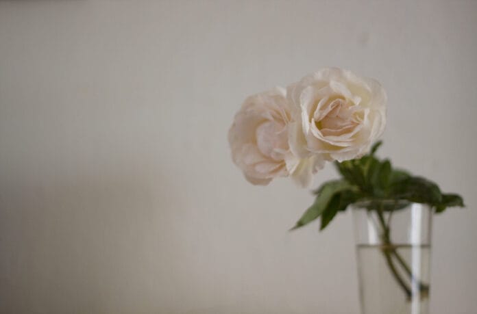 trucos caseros para mantener las flores cortadas