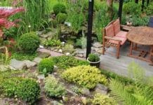 Estanque en la terraza: elementos a tener en cuenta