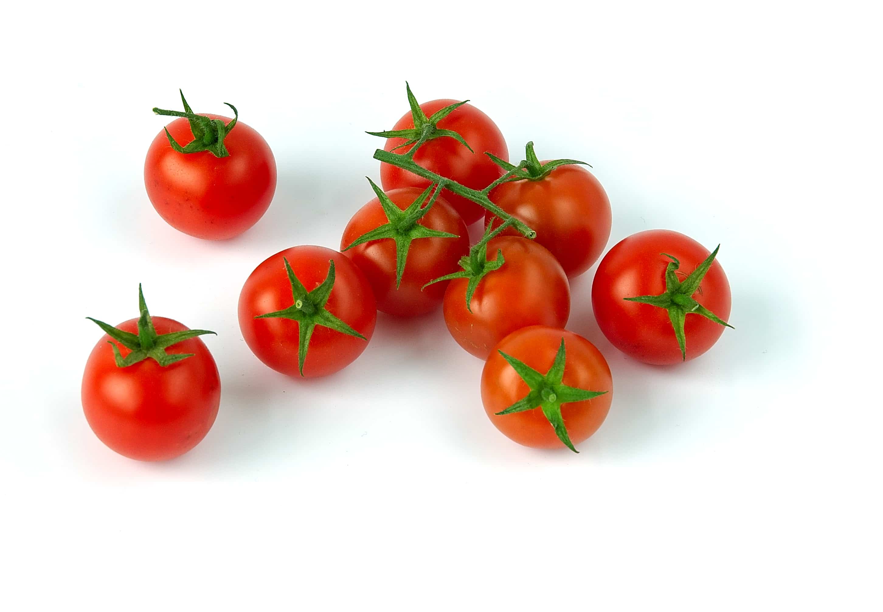Semillas del tomate: ¿cómo conseguirlas fácilmente?