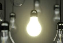 Cultivar plantas con luz artificial (Parte II) Cultivar plantas