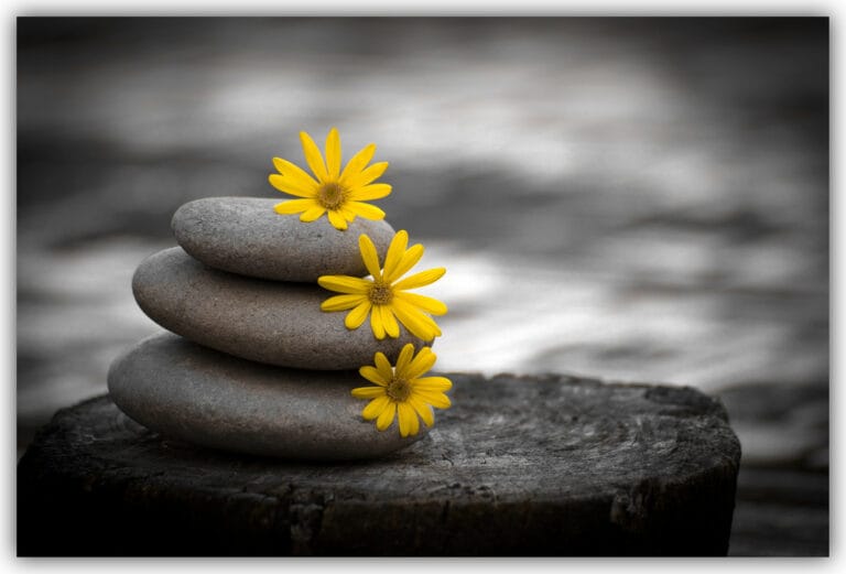 5 Ideas para decorar con piedras pequeñas 5 Ideas para decorar con piedras pequeñas