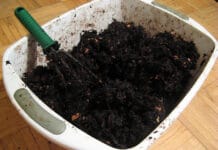 ¿Por qué es bueno el humus de lombriz? humus de lombriz