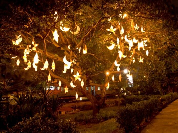 Jardines navideños