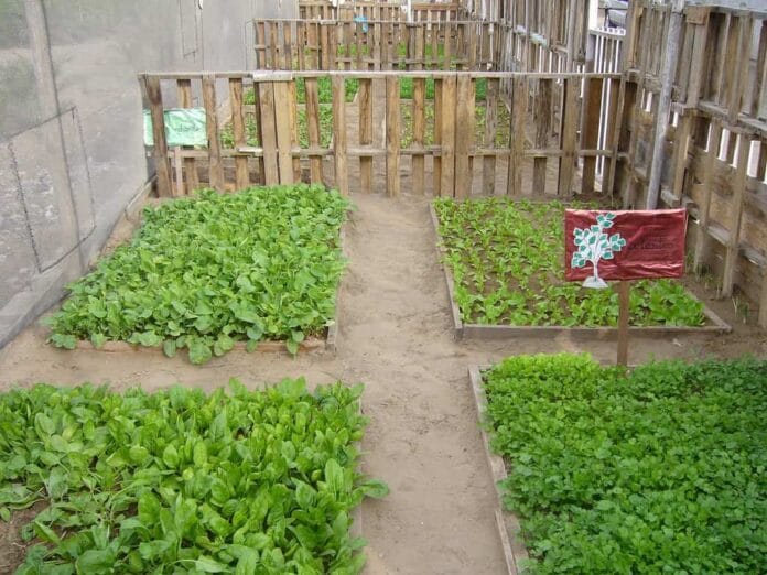 Jardines sostenibles, puntos claves Jardines sostenibles