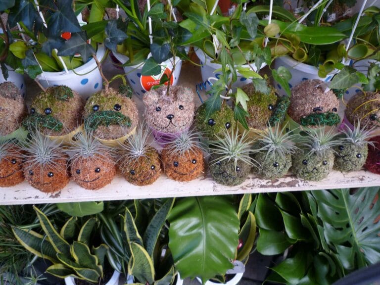 Hacer una kokedama: ¿cómo es el paso a paso? Hacer una kokedama: ¿cómo es el paso a paso?