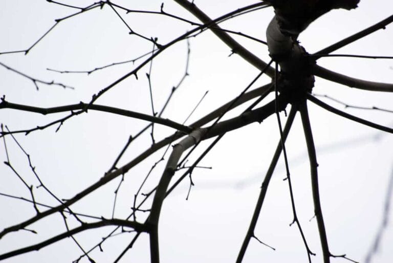 Calefaccionar los exteriores, algo posible de conseguir Calefaccionar los exteriores, algo posible de conseguir