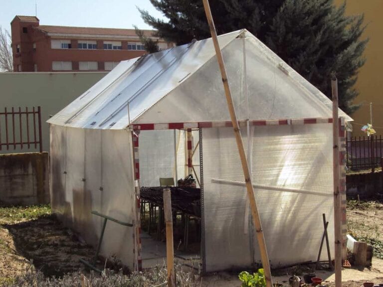 Crear un invernadero casero para cuidar las plantas Crear un invernadero casero para cuidar las plantas