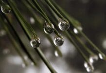 Consejos para la instalación de un sistema de riego por goteo Sistema de riego