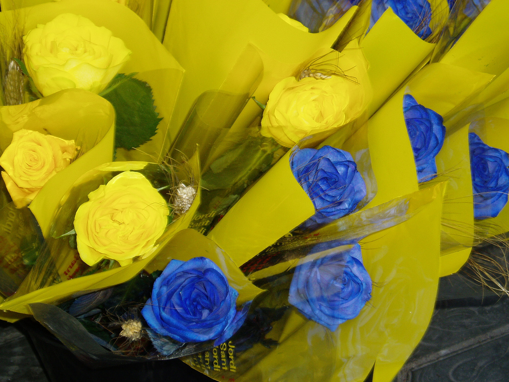 rosas azules y amarillas