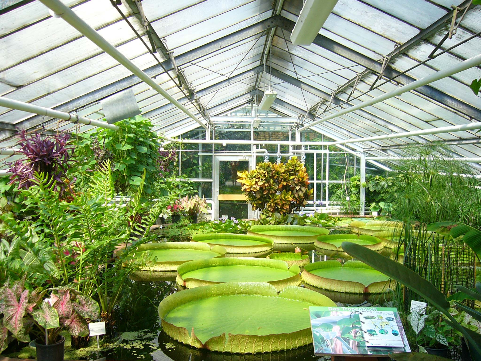 Jardines botánicos turísticos 5