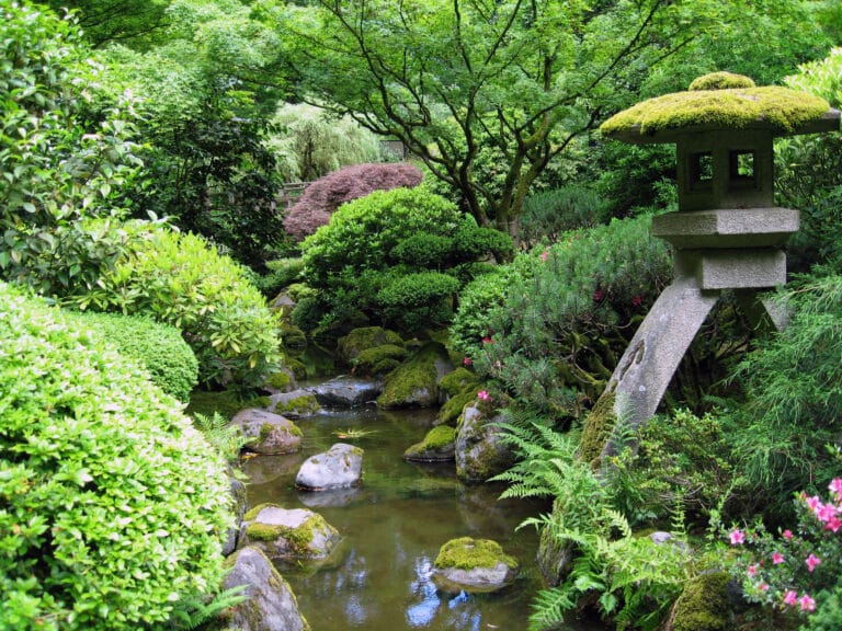 Jardín japonés: historia, variedades y características Jardín japonés: historia, variedades y características