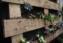Cómo construir un huerto urbano paso a paso con pallets