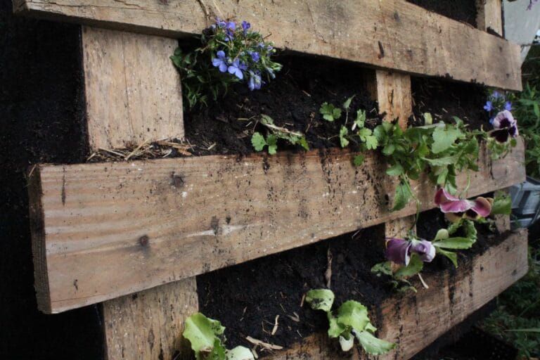 Cómo construir un huerto urbano paso a paso con pallets